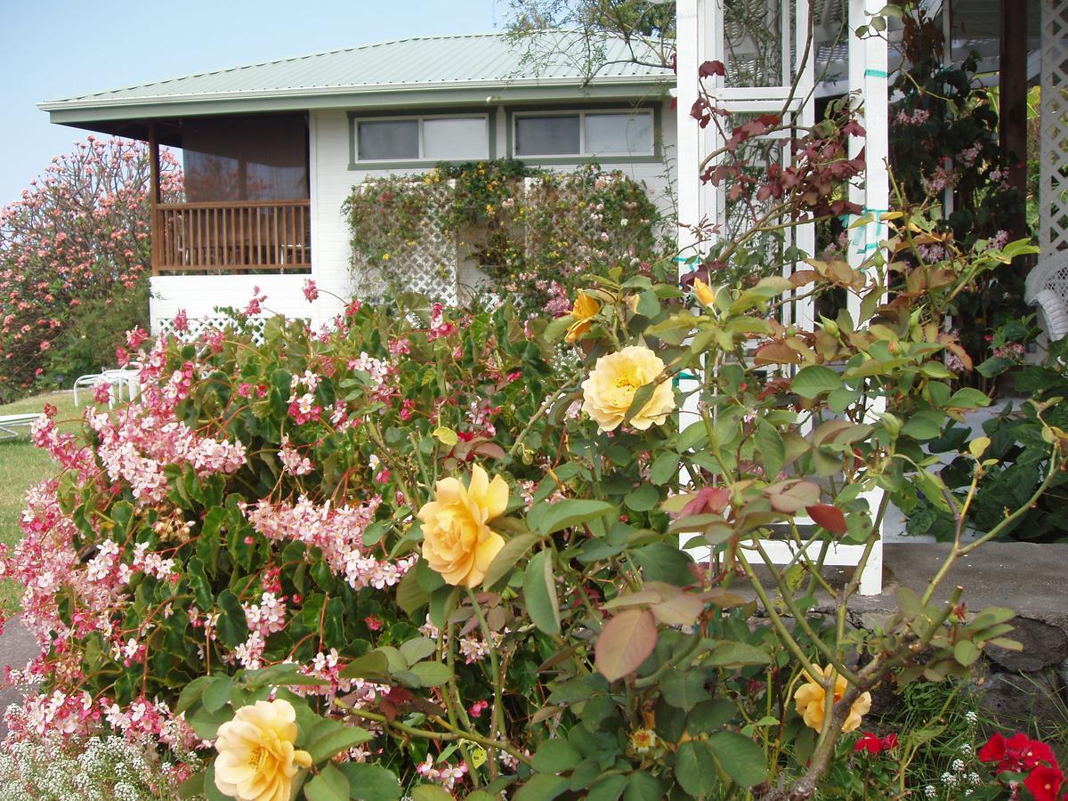 Belle Vue Kona Inc Bed & Breakfast Captain Cook Dış mekan fotoğraf
